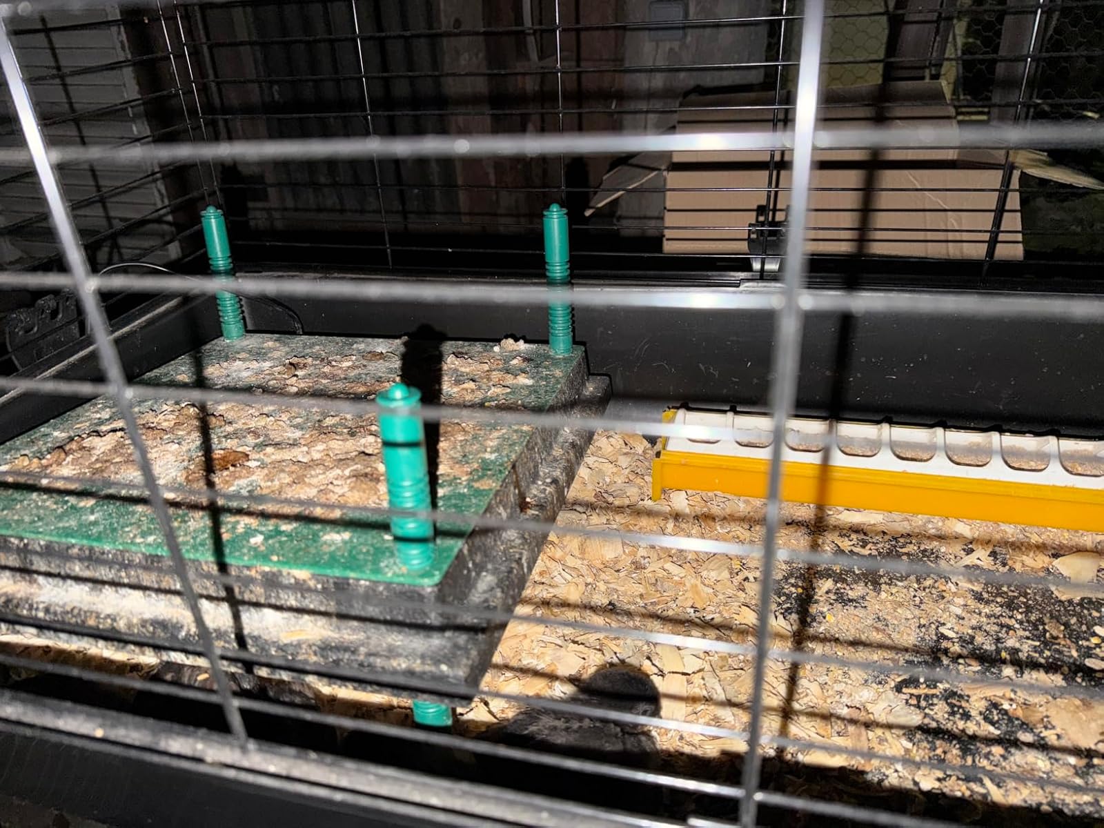 Plaque chauffante verte pour poussins posée dans une cage, vue à travers les barreaux