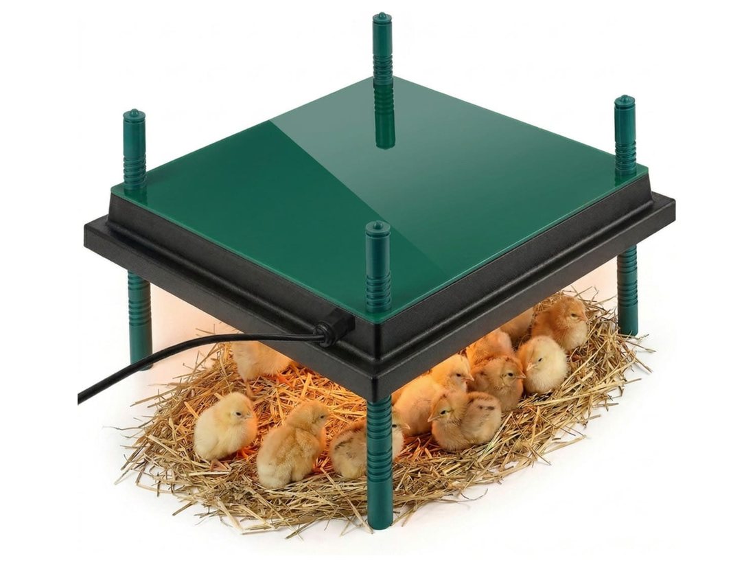Plaque chauffante Dural's pour poussins avec pieds réglables