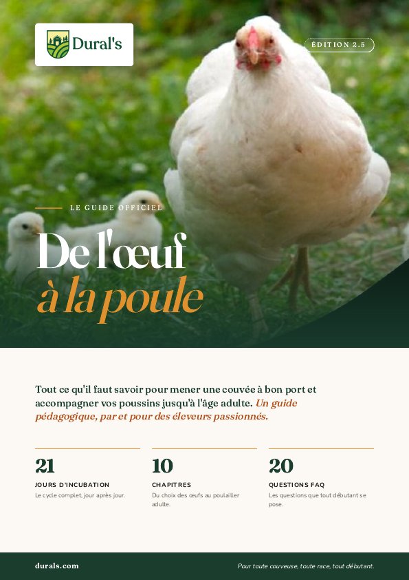 Couverture de l'ebook Dural's « De l'œuf à la poule »